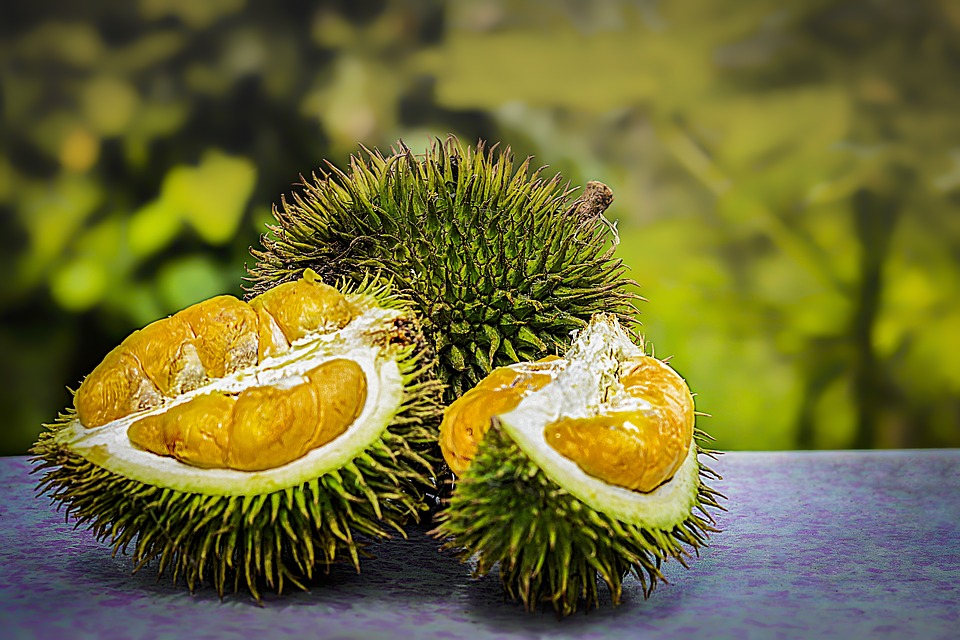 Le durian, fruit qui pue, fruit qui tue - Le Manger